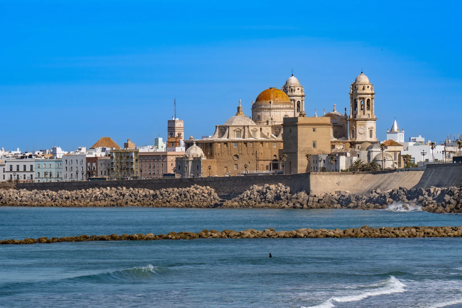 Cádiz Cathedral and waterfront, photographed in April 2026. Context photograph of the city, not of the Carnival prevention programme.