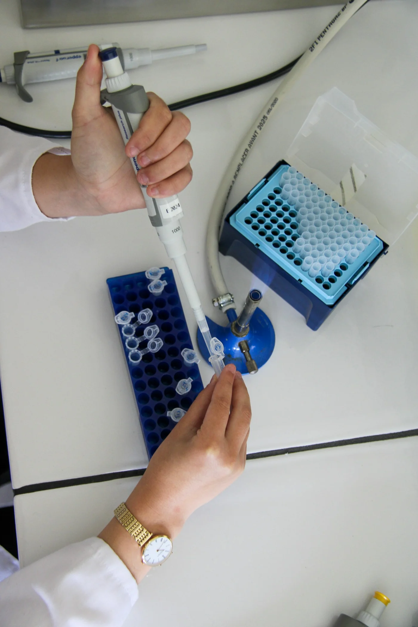 Work with a micropipette and laboratory tubes. Scientific context; the photograph does not show a VSAFE device or a GHB test.