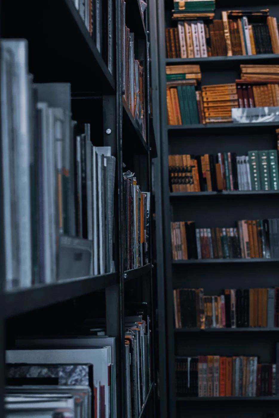 Library bookshelves. Stock photograph of a learning environment, not the York campus or the police operation.